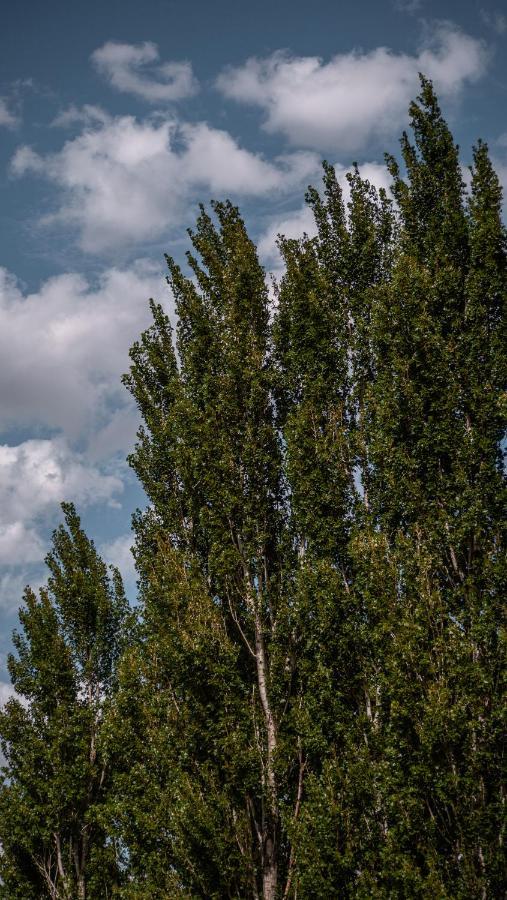 Pampas Del Sur Hotel Y Spa De Campo Cañuelas المظهر الخارجي الصورة